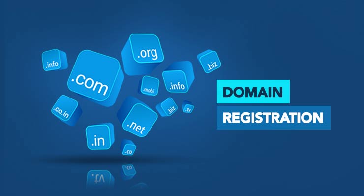 Domain Registration Company