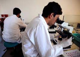 Lab Management System in Kabul Pharma, software